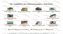 Desktop Screenshot of amphibien.at