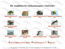 Tablet Screenshot of amphibien.at
